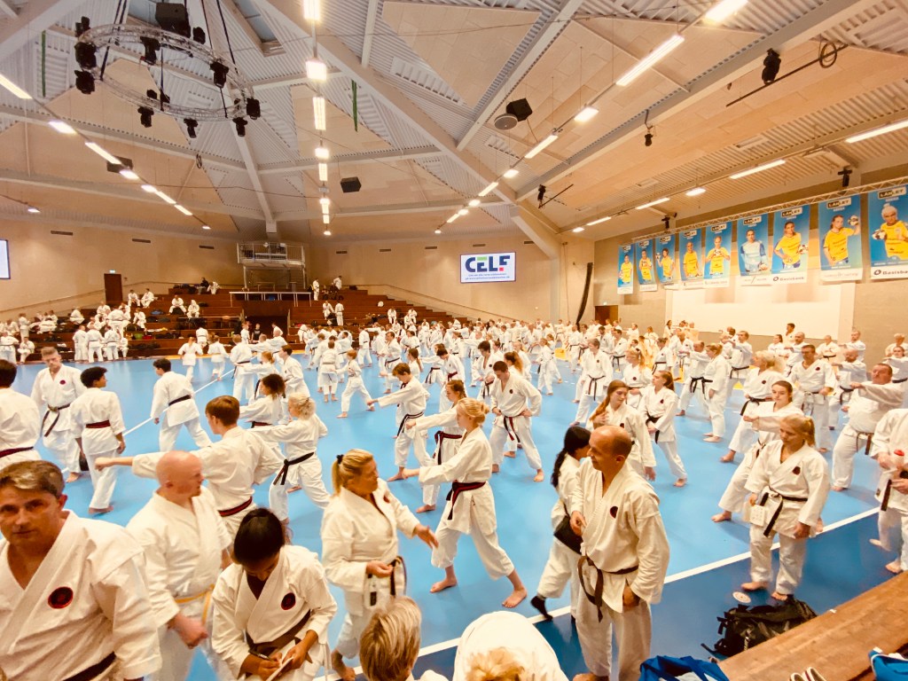 This image has an empty alt attribute; its file name is f1ab8108-1746-4a0b-90f4-50d66c2cb0a0_1_201_a.jpeg